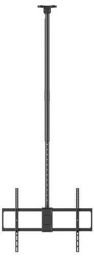Reflecta PALLAS 100-8060T TV-Deckenhalterung 127,0cm (50") - 254,0cm (100") Neigbar, Schwenkbar, Höhenverstellbar