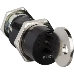 Schneider Electric Ronis identischer LV833192SP