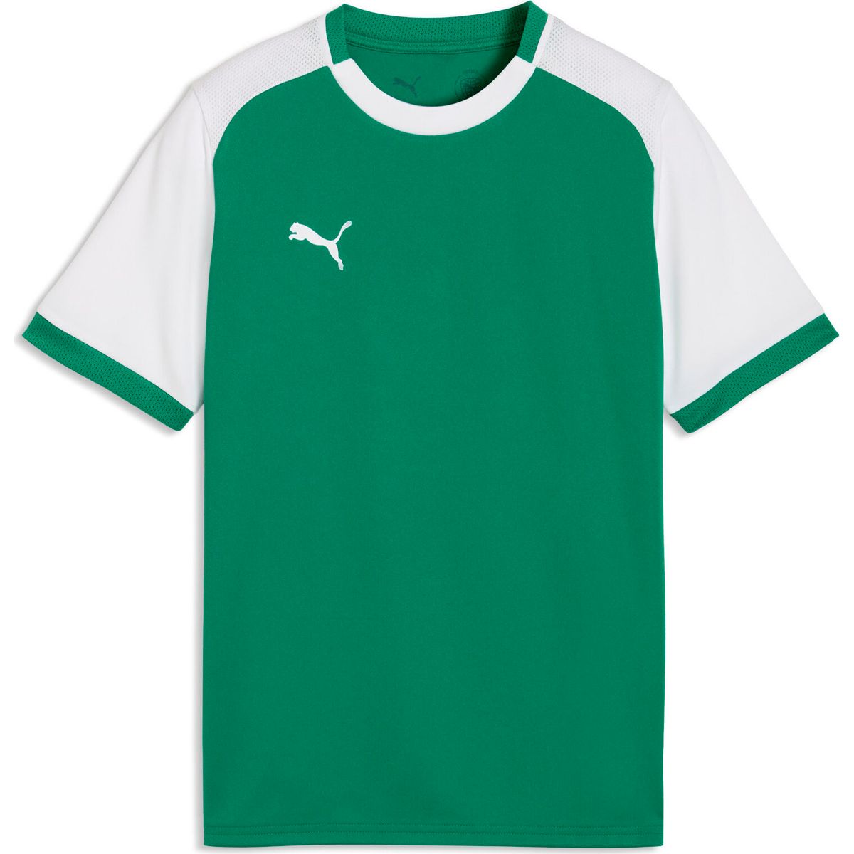 Puma teamLIGA26 Matchday Jersey Jr sport green-puma white-puma white (05) 176 706545-05-176