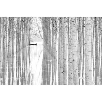 Fototapete PAPERMOON "Photo-Art AGLIONI SIMONE, BEWEGUNGSFREIHEIT", bunt, B:4m L:2,6m, Vlies, Tapeten
