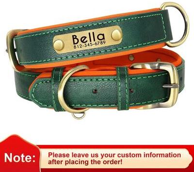 Uplifted Finds Customized Padded PU Leather Nameplate Collar green xs