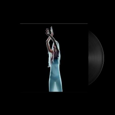 Dont Trust Mirrors - Kelly Moran, Vinyl