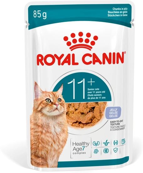 Royal Canin Ageing 11+ Alimento Húmido em Molho para Gatos Seniores 12 un x 85g