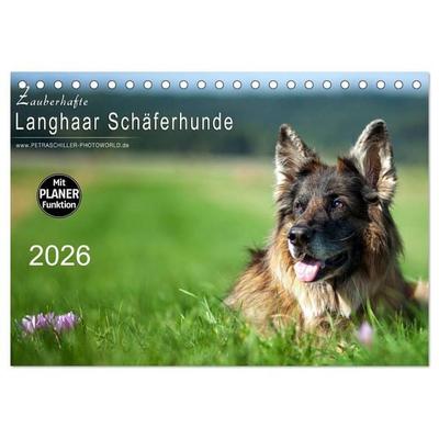 Zauberhafte Langhaar Schäferhunde (Tischkalender 2026 DIN A5 quer), CALVENDO Monatskalender