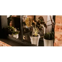 Restberry ́s plant pot Floora creme