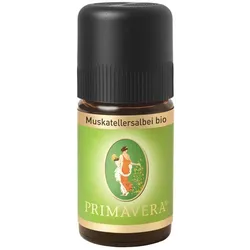Muskatellersalbei bio