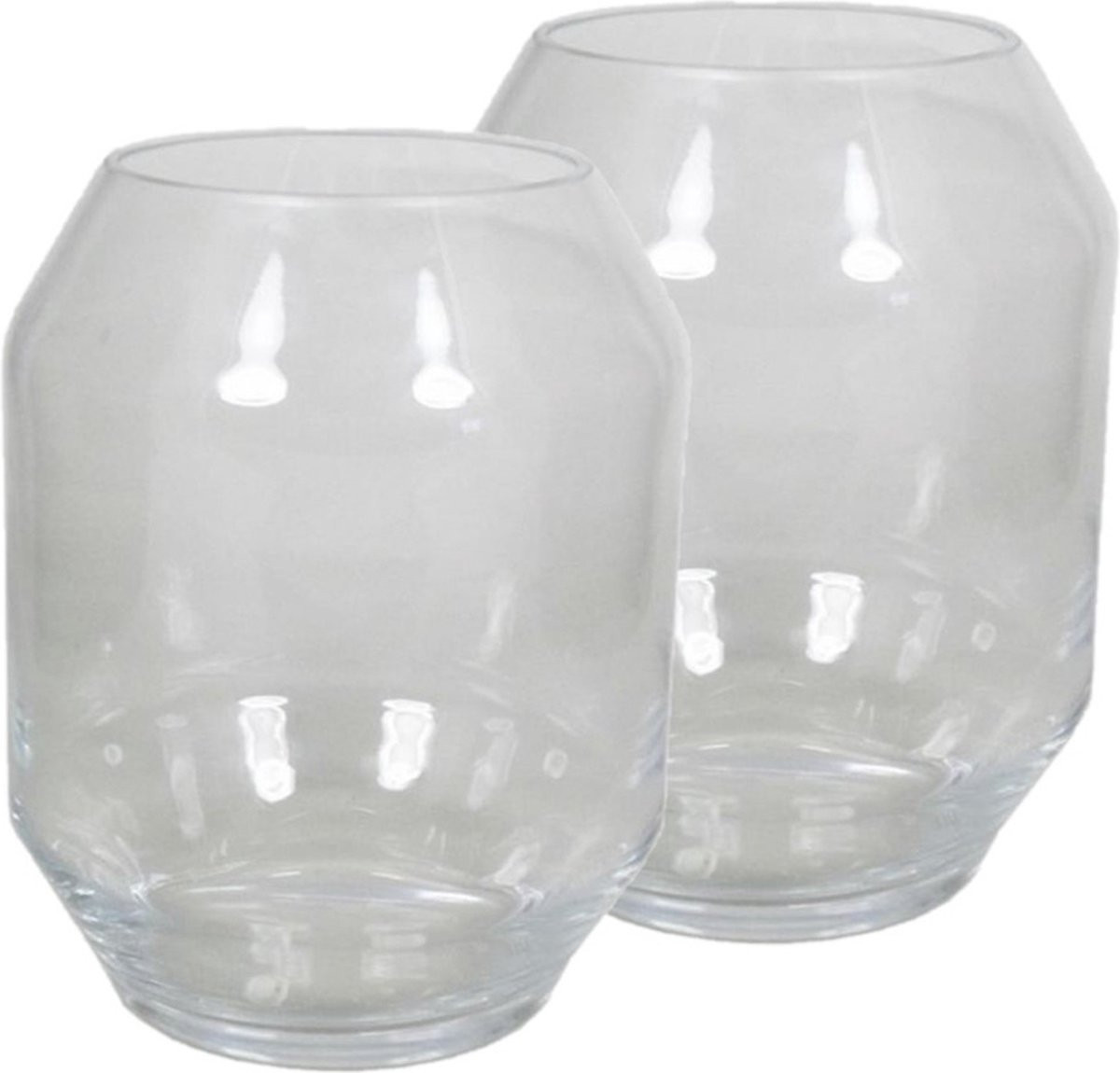 Bellatio Flowers & Plants Set van 2 Ronde Glazen Bloemenvaas in Helder Glas, Hoogte: 25 cm