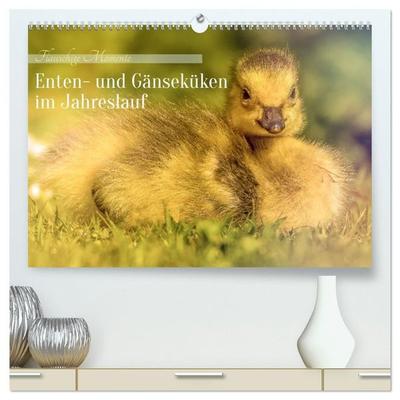 Flauschige Momente! Enten- und Gänseküken im Jahreslauf (hochwertiger Premium Wandkalender 2027 DIN A2 quer), Kunstdruck in Hochglanz
