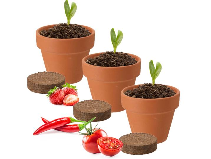Pflanz-Set mit Tontöpfen und Samen, Pflanztöpfe