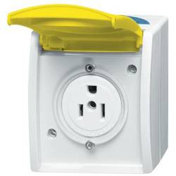 Busch-Jaeger Einsatz Nema-Steckdose Zinkgelb, Gelb 2CKA002124A0023 1 St.