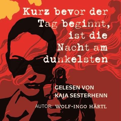 Kurz bevor der Tag beginnt, ist die Nacht am dunkelsten - Wolf-Ingo Härtl, Audio, 9783968870465
