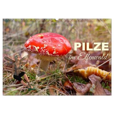 Pilze im Elfenwald (Wandkalender 2027 DIN A2 quer), CALVENDO Monatskalender