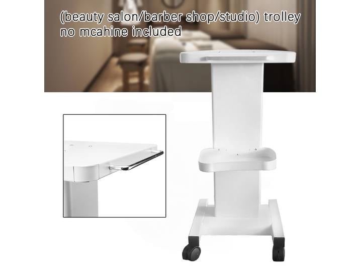 Chariot esthétique à roulettes en métal pour salon de beauté et spa, support pour appareils de beauté, capacité de charge 132 lb, chariot roulant pour esthéticienne