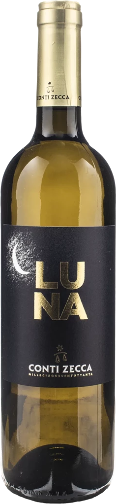 Conti Zecca Luna 2024