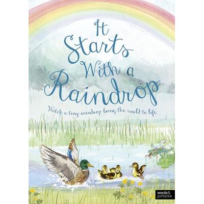 It Starts With A Raindrop, Gebundene Ausgabe von Aimee Gallagher, Quarto Publishing Group, 978-0-7112-8593-4