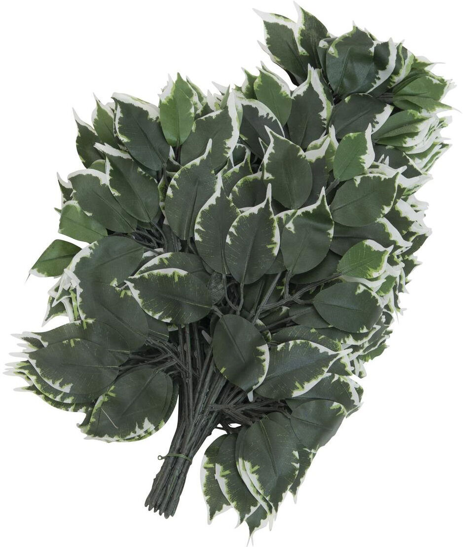 Europalms Ficuszweig 12x