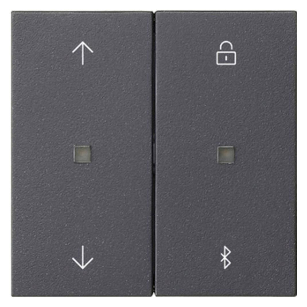 Gira S3000 Jal.- + Schaltuhr BT System 55 Anthrazit (536728)