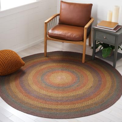 SAFAVIEH Handmade Braided Akina Cotton Rug