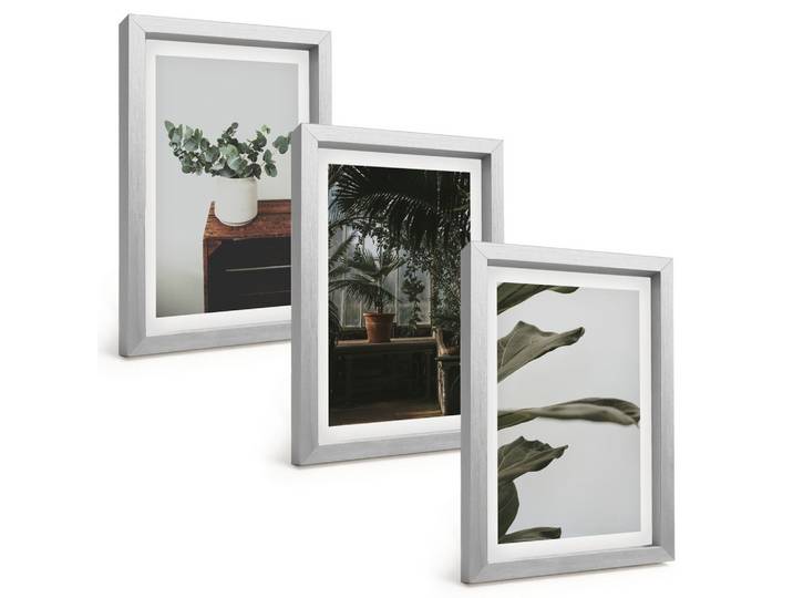 BILDER SET 3er Set - 20x30 cm Silberner Rahmen - Rustikale Topfpflanzen