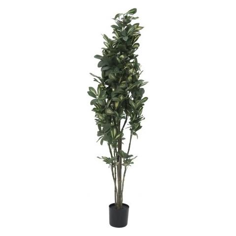 Europalms Schefflera, künstlich, 120cm (82600157)