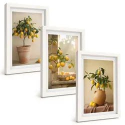 BILDER SET 3er Set - 20x30 cm Weißer Rahmen - Zitronenbäume im Topf