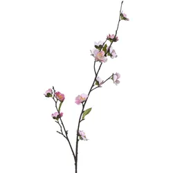 Kunstblume KIRSCHBLÜTE (BHT 13x70x6 cm) - BHT 13x70x6 cm