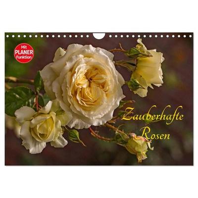 Zauberhafte Rosen (Wandkalender 2027 DIN A4 quer), CALVENDO Monatskalender