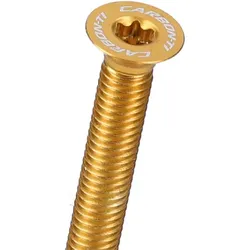 CARBON-TI Aluminiumschraube X-Cap TORX M6x35 Logo | gold