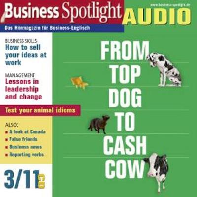 Business-Englisch lernen Audio - Ideen verkaufen - Carol Scheunemann,Ken Taylor, Audio, 4056198054086