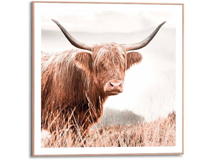 Poster REINDERS Highlander , braun (farbe bild(er): braun), B:50cm H:50cm T:1,6cm, MDF, Bilder, Poster