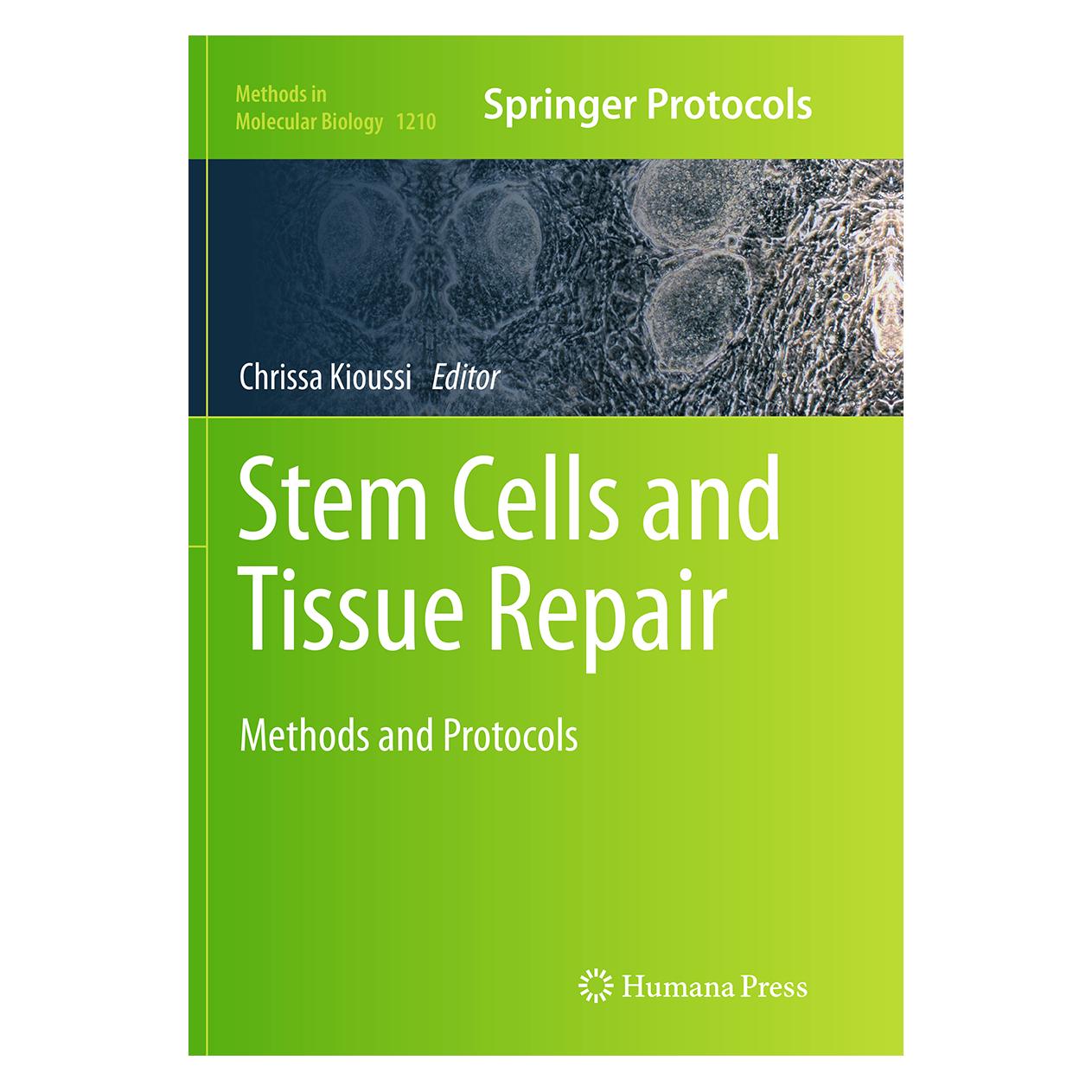 Springer Stem Cells and Tissue Repair (Englisch, Softcover) (55847551)