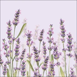 Ambiente 20 Servietten Papier 33x33cm 3-lag - hochwertige Einweg Papierservietten Lavendel Aquarell violett grün Landhausstil Sommer Feier Dekoration Tischdeko