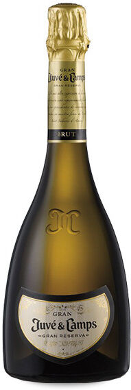Juvé & Camps Gran Tribut Joan Juvé 2018 - 75cl
