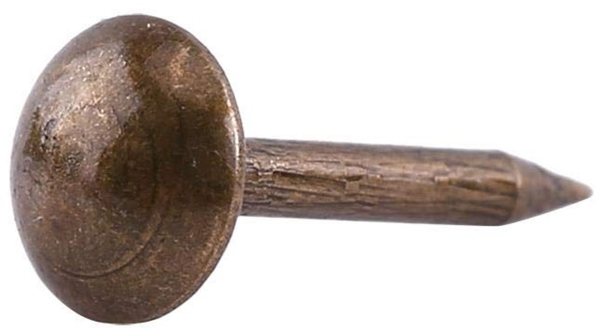 Dailygoods Decoratienagels Antieke Stijl - 100 Stuks - Vintage Brons - IJzeren Meubelspijkers - 6 x 14 mm