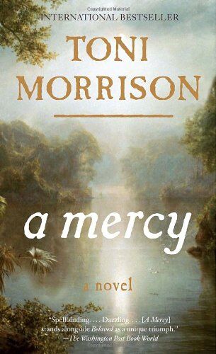 Toni Morrison - A Mercy (Vintage International) - Preis vom 17.10.2026 19:25:27 h