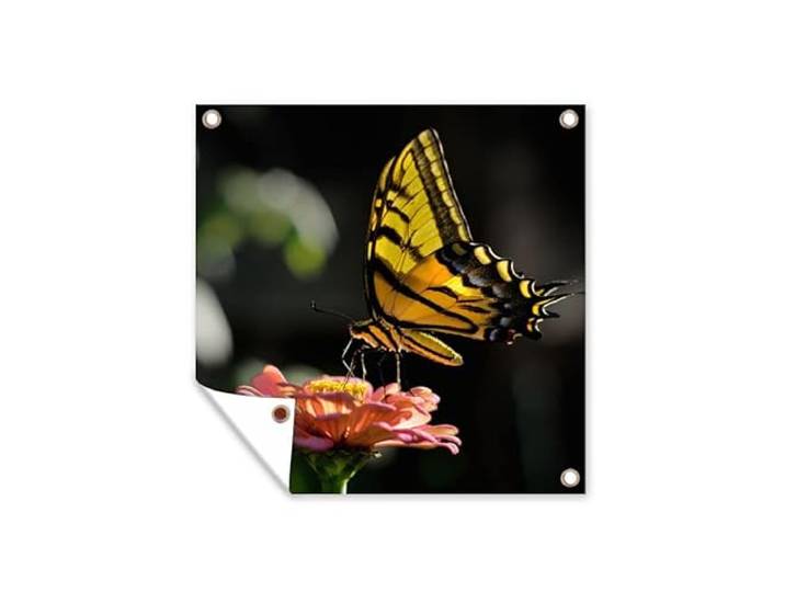 Tuinposter - 200x200 cm - Vlinder - Botanisch - Bloem