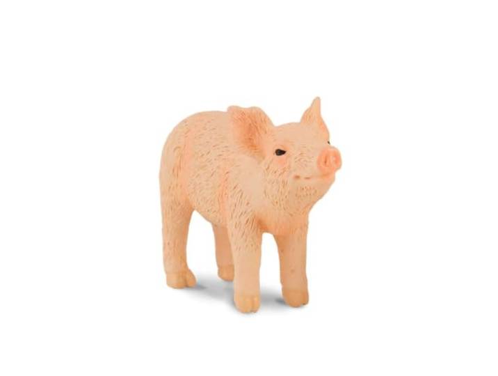 Collecta Piglet Ruiken