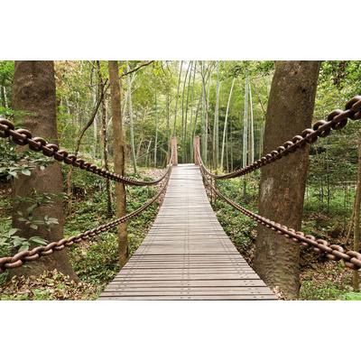 Fototapete PAPERMOON "Suspension Bridge", bunt, B:5m L:2,8m, Vlies, Tapeten