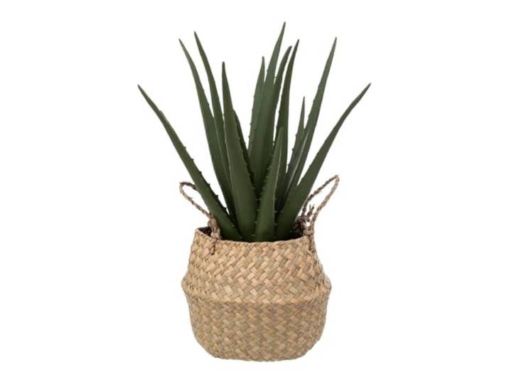 Atmosphera Kunstpflanze Aloe Vera in Schilfrohr, Höhe 37 cm