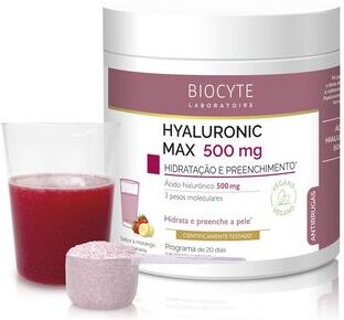 Biocyte Ácido Hialurónico em Pó Hyaluronic Max 20 saquetas