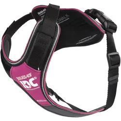 Julius-K9 K9 IDC Longwalk - pink-grey S (S, Hund, Hundesport), Halsband + Leine