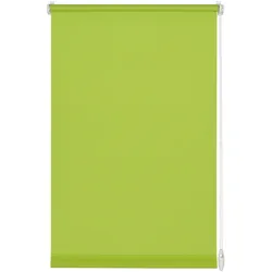 Gardinia, Rollo, Rollo Uni (120 x 150 cm)