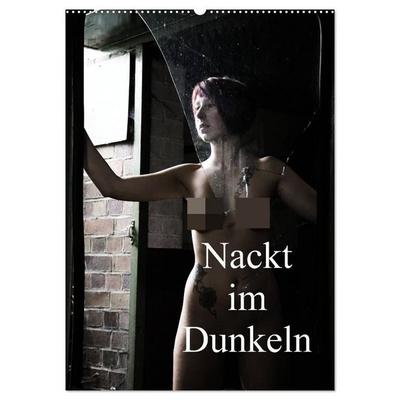 Nackt im Dunkeln / 2027 (Wandkalender 2027 DIN A2 hoch), CALVENDO Monatskalender