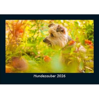 Hundezauber 2026 Fotokalender DIN A5