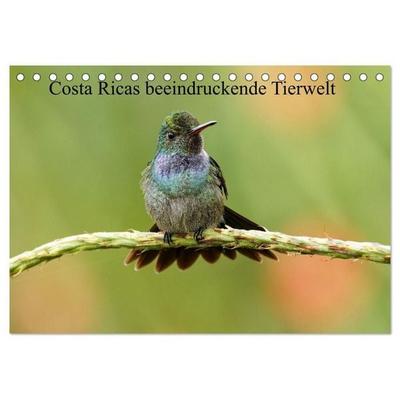 Costa Ricas beeindruckende Tierwelt (Tischkalender 2027 DIN A5 quer), CALVENDO Monatskalender