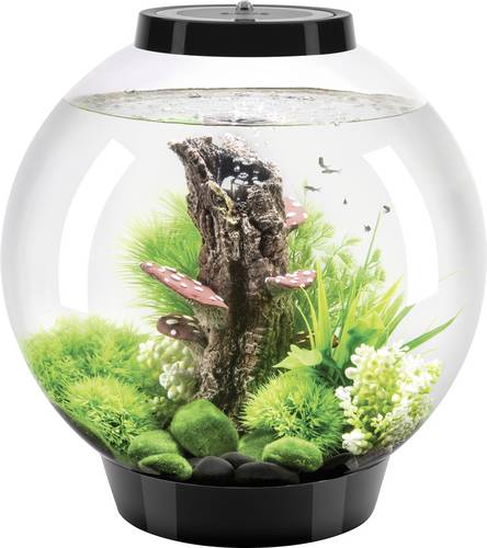 Oase 72005 biOrb CLASSIC 30 LED schwarz Aquarium 30l mit LED-Beleuchtung