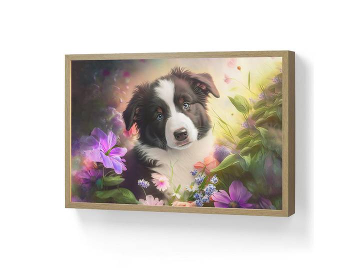 OnlyWow Wandleuchte MIT Akku Welpe - Sonne - Blumen - Natur - Border Collie - Hund 60x40 cm, Violett, Rechteckig, LED integrated, 60x40x8 cm, Lampen & Leuchten, Innenbeleuchtung, Wandleuchten