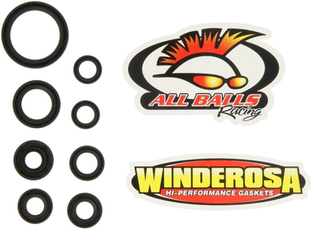 Pochette de joints moteur WINDEROSA W822167