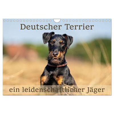 Deutscher Terrier - ein leidenschaftlicher Jäger (Wandkalender 2026 DIN A4 quer), CALVENDO Monatskalender