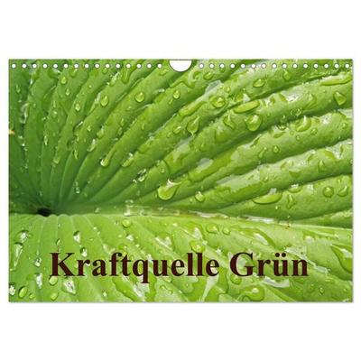 Kraftquelle Grün (Wandkalender 2026 DIN A4 quer), CALVENDO Monatskalender